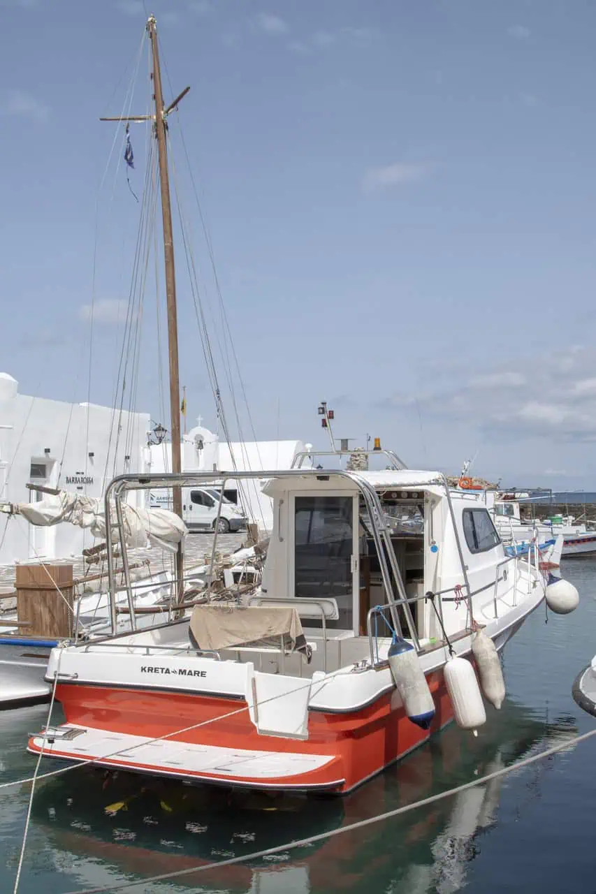 Zeppos close up photoshoot 6