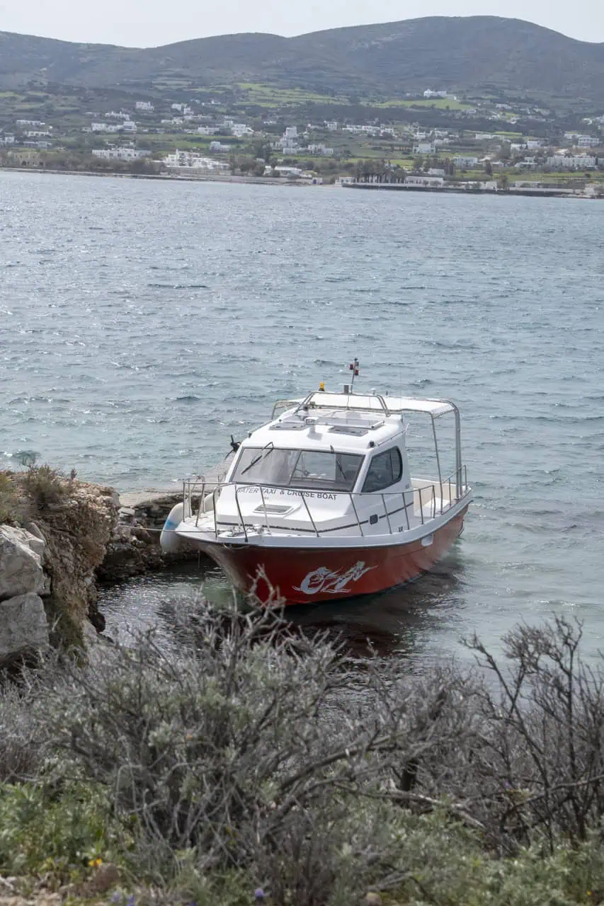 Zeppos close up photoshoot 5