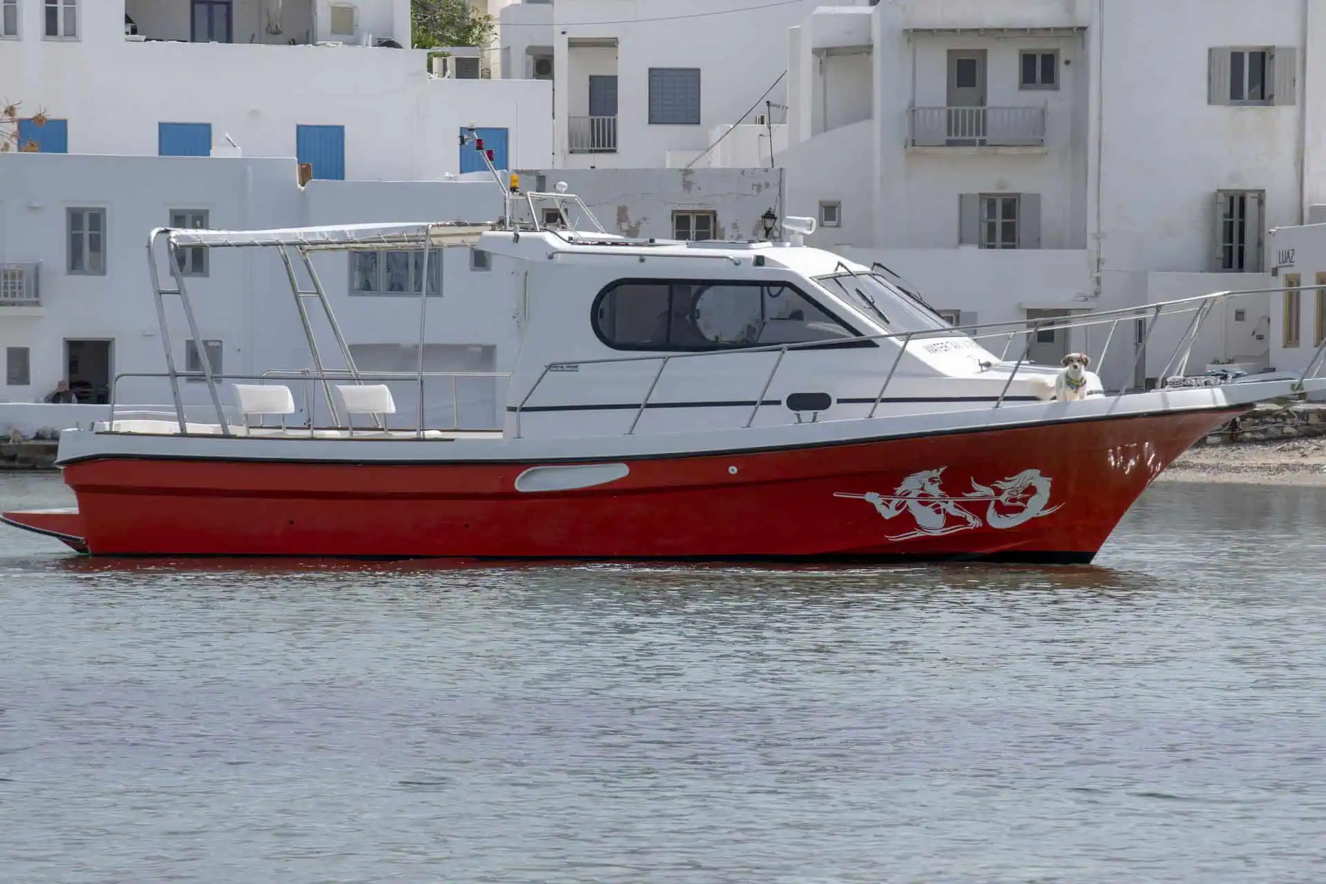 Zeppos close up photoshoot 2