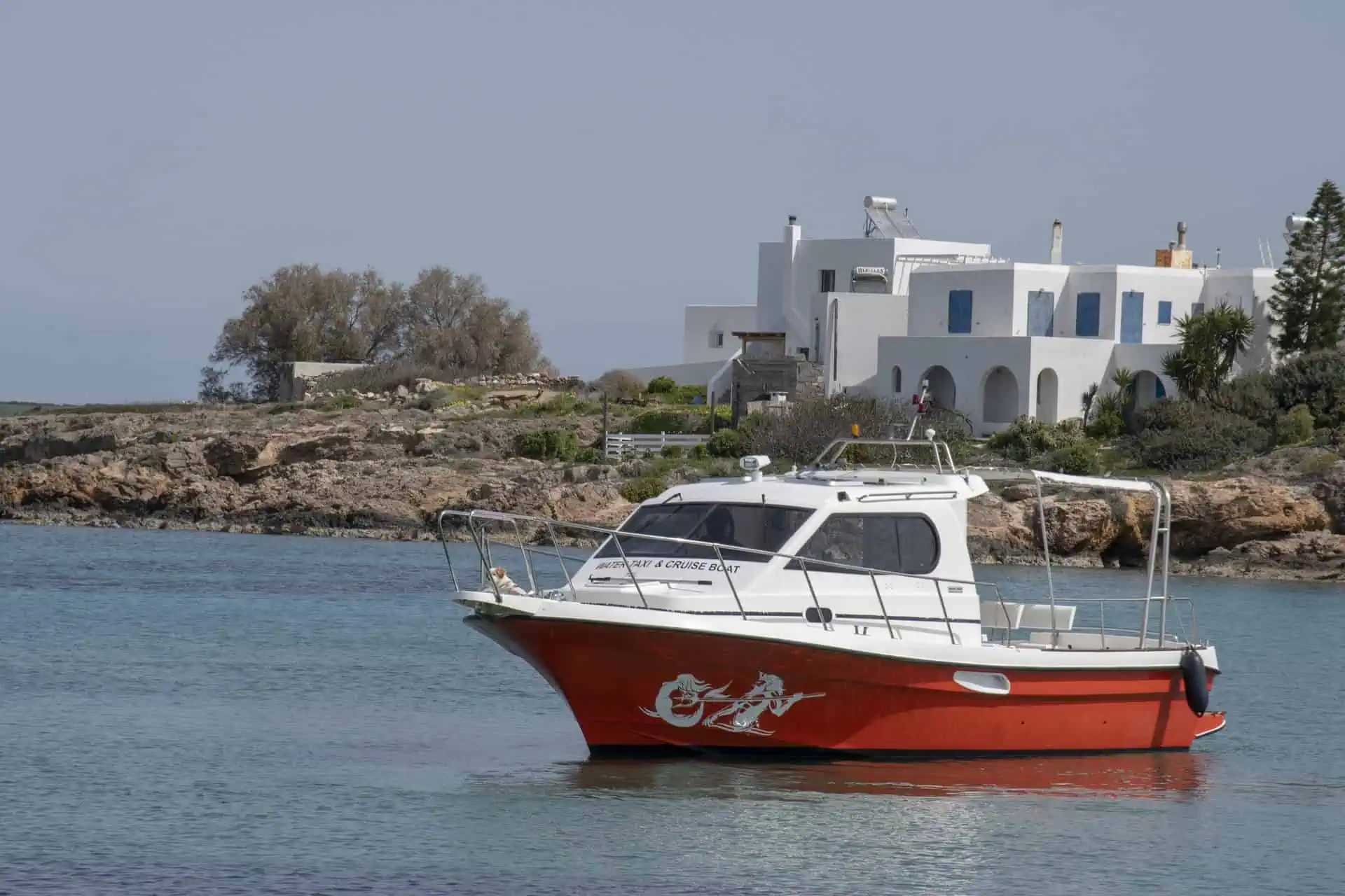 Zeppos close up photoshoot 1