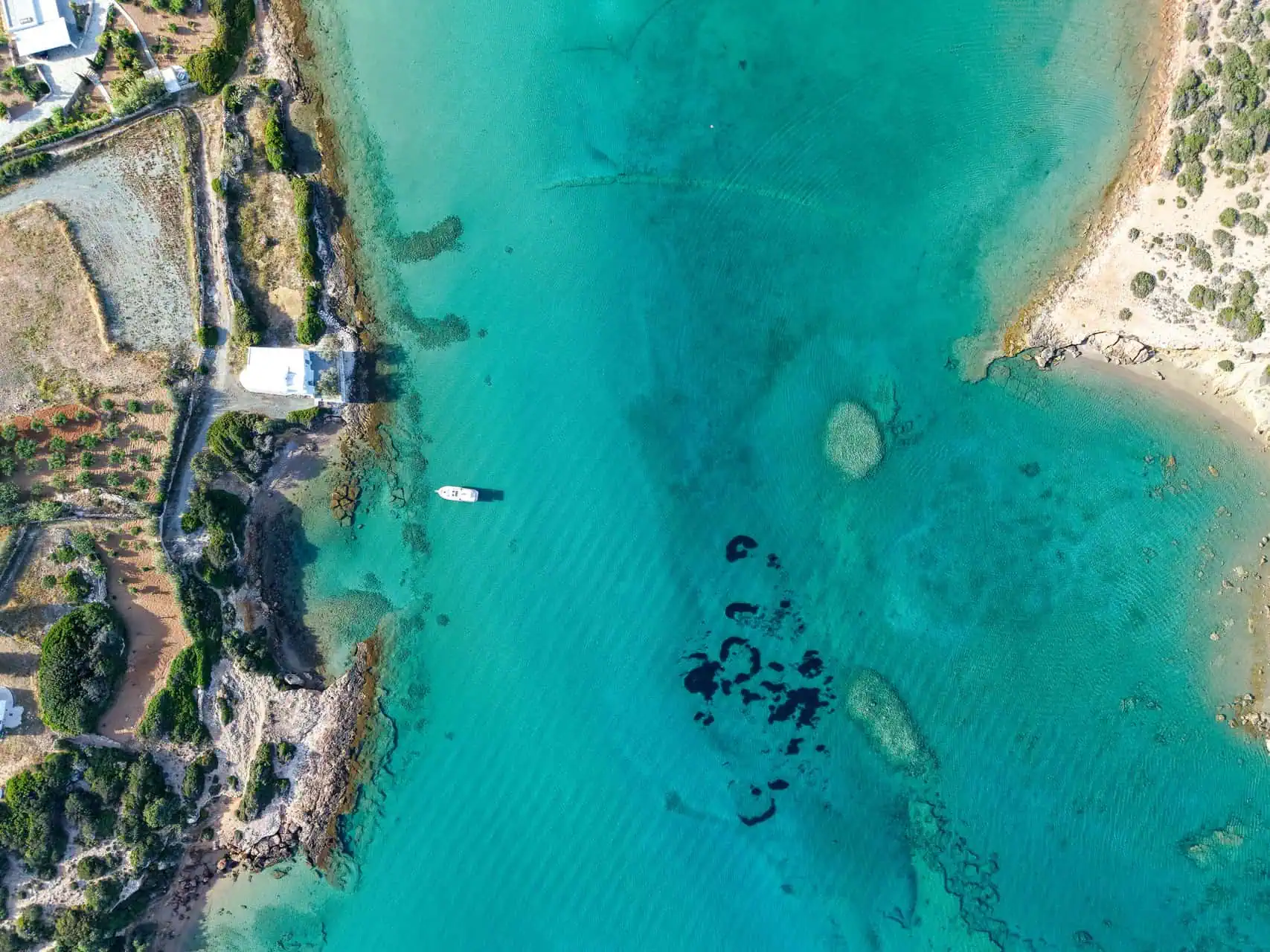 Cruising with Zeppos II photoshoot 22